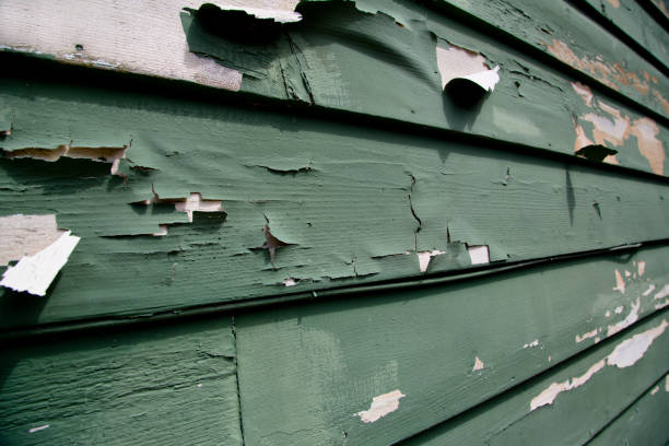 Demolition Debris Removal in Deridder, LA