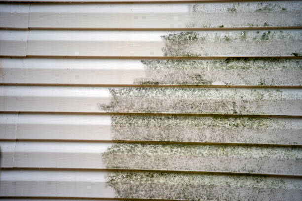 Best Dumpster Rental Services  in Deridder, LA